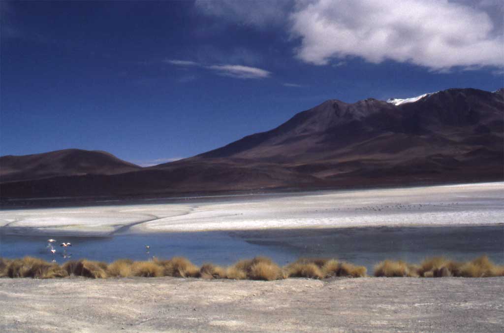 La laguna Hedionda, ou « lac qui pue », le 20 août 2000