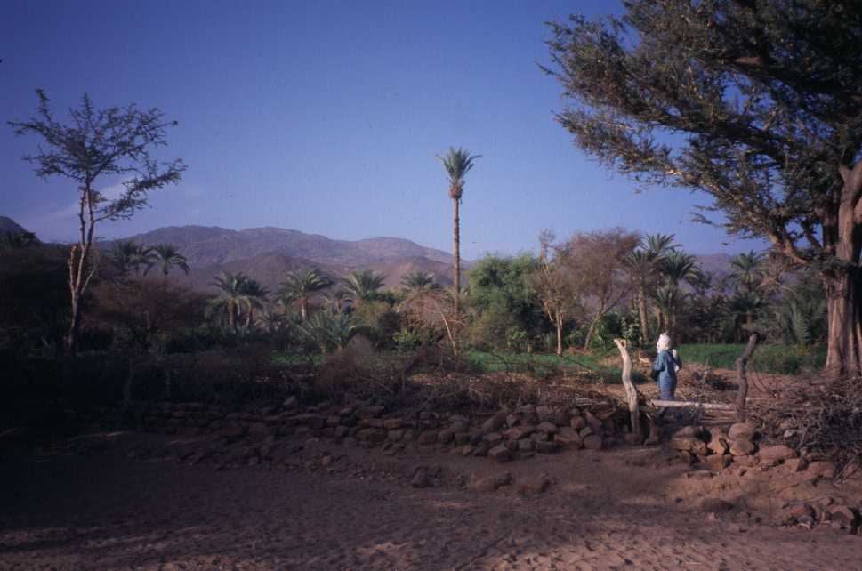 L’oasis de Timia, le 17 février 2004
