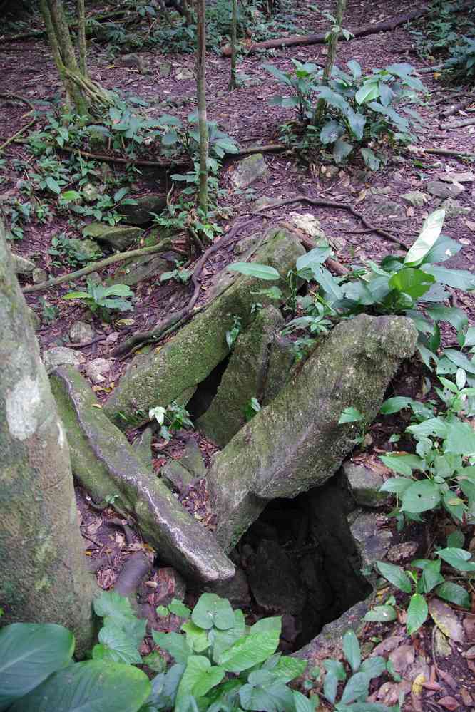 Randonnée dans la jungle en lisière du site de Palenque. Reste de canalisation maya, le 23 janvier 2016