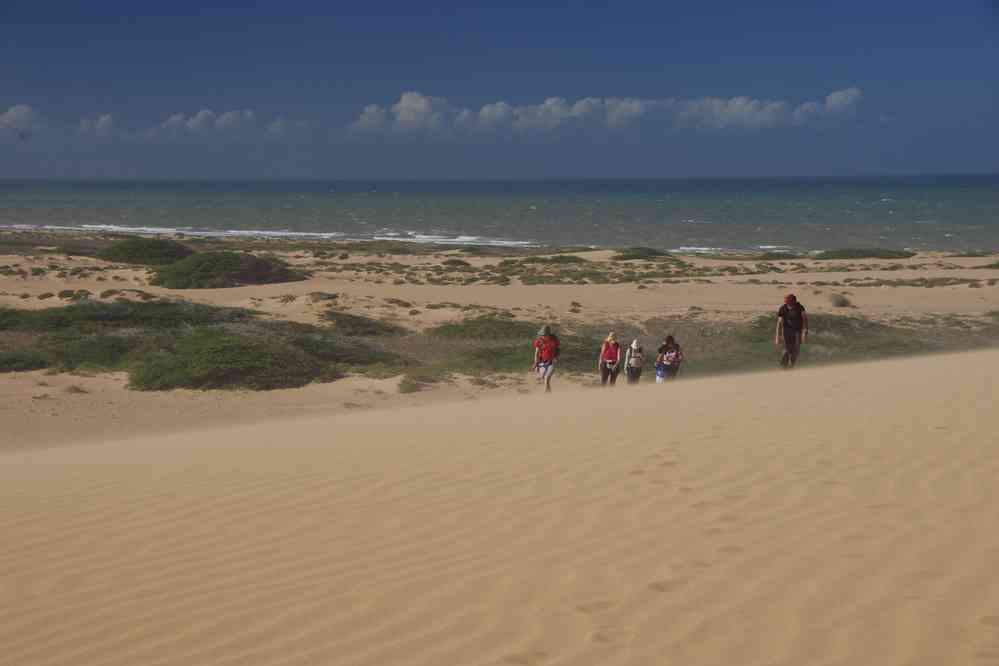 Les dunes de Taroa, le 27 janvier 2018
