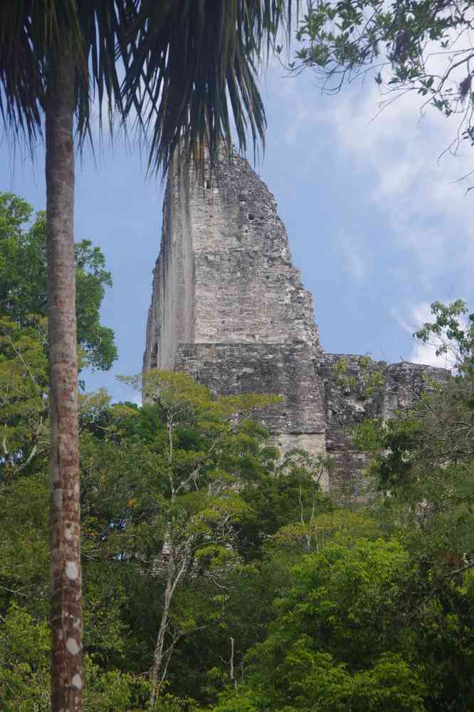 Tikal : temple IV, le 21 février 2020