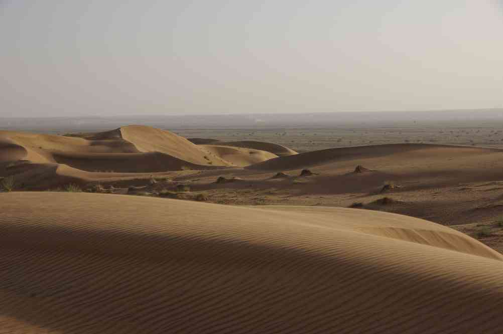 Dans les premières dunes de l’erg des Wahiba, le 29 mars 2012