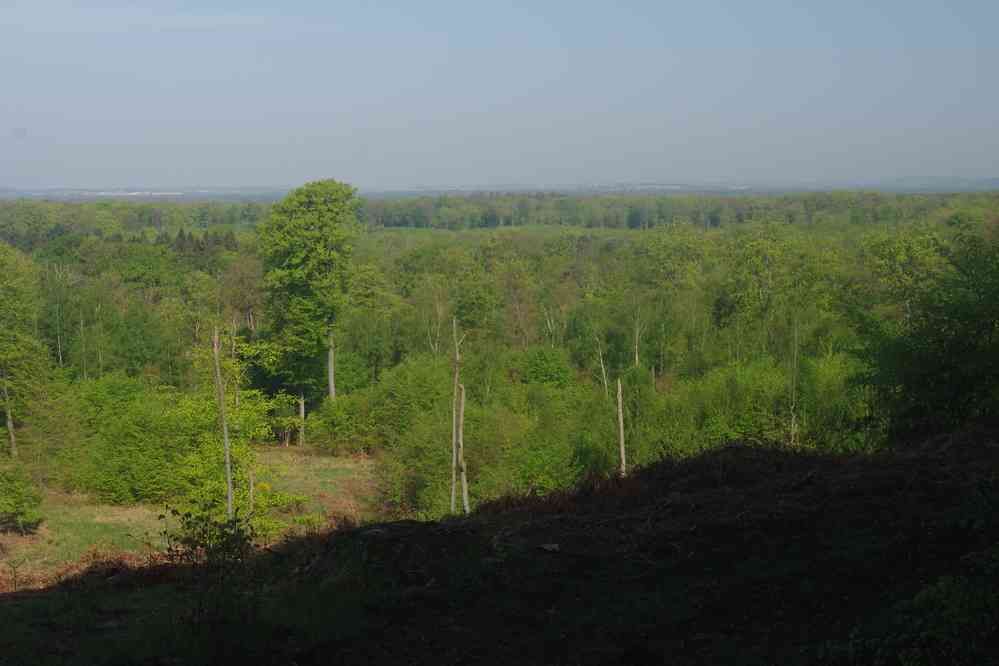 Forêt de Compiègne : un des rares endroits où la vue est dégagée. Le dimanche 22 avril 2018