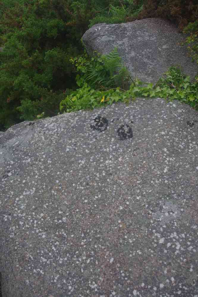 Le fameux granit de Flamanville dont tous les lycéens ont entendu parler en cours de géologie !. Le jeudi 30 mai 2019