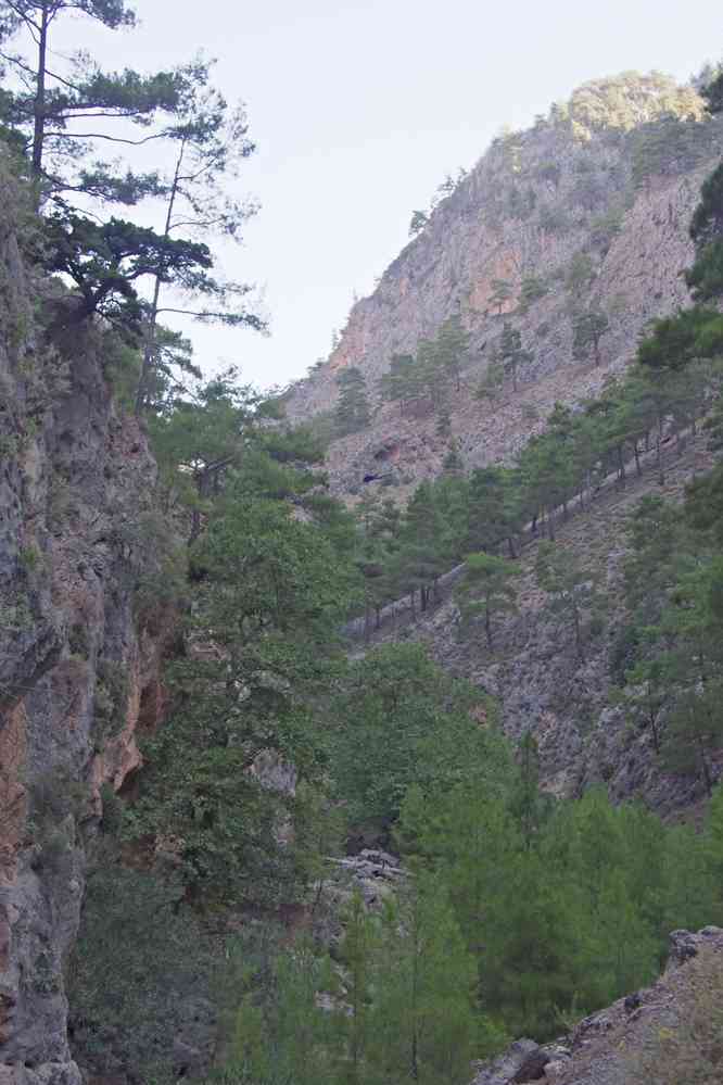 Gorges d’Agia Irini (Άγια Ειρήνη). Le jeudi 14 août 2014