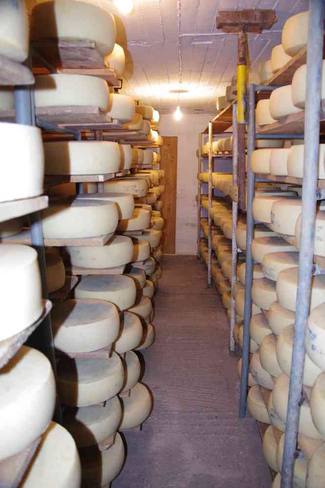 La fromagerie du plateau d’Omalos (Ομαλός). Le jeudi 14 août 2014