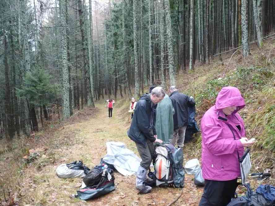 Dans la forêt entre Linthal et Obersengern. Le mercredi 30 décembre 2009