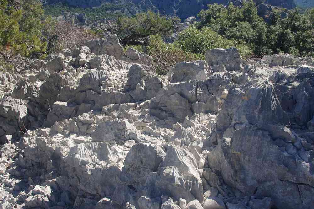 Montée vers Tiscali, pierres calcaires coupantes, le 9 septembre 2022