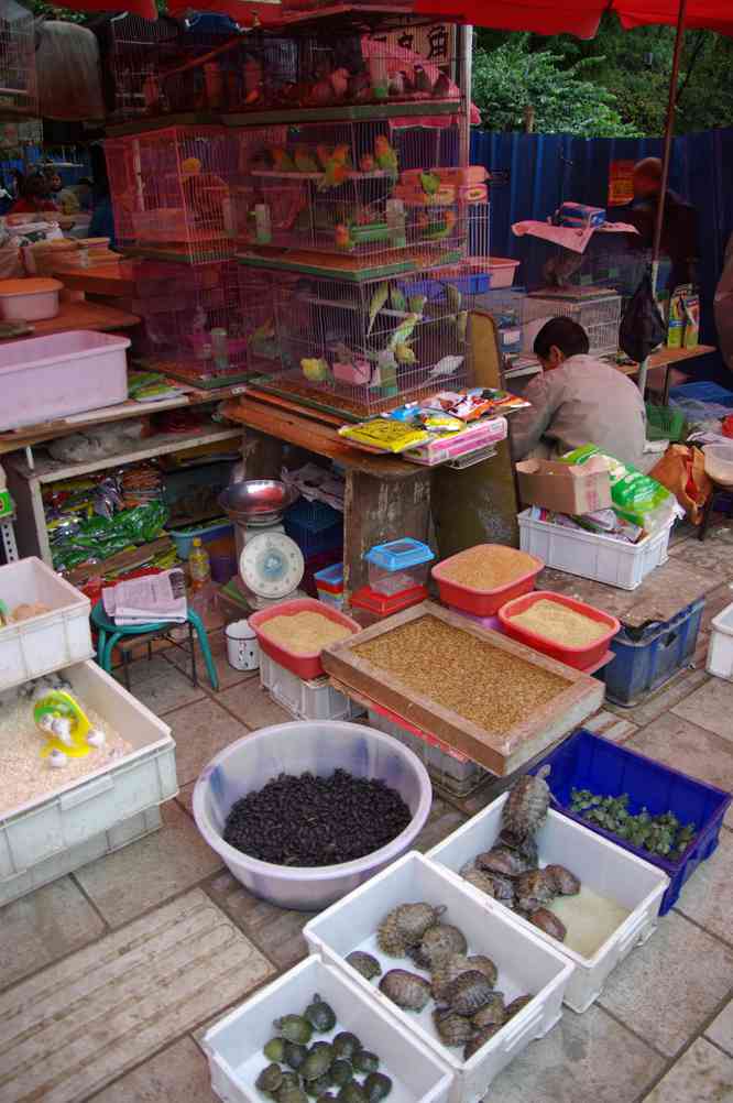 Petit marché au centre de K'ouen-ming (昆明 Kunming), le 09 octobre 2010