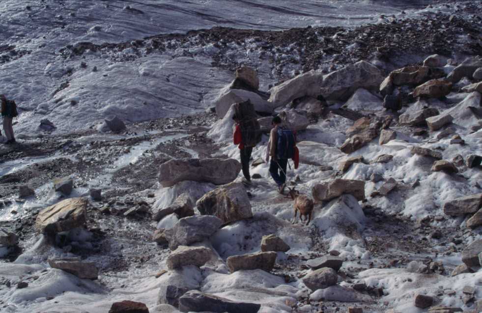 Traversée du glacier affluent de Liligo, le 11 août 1999