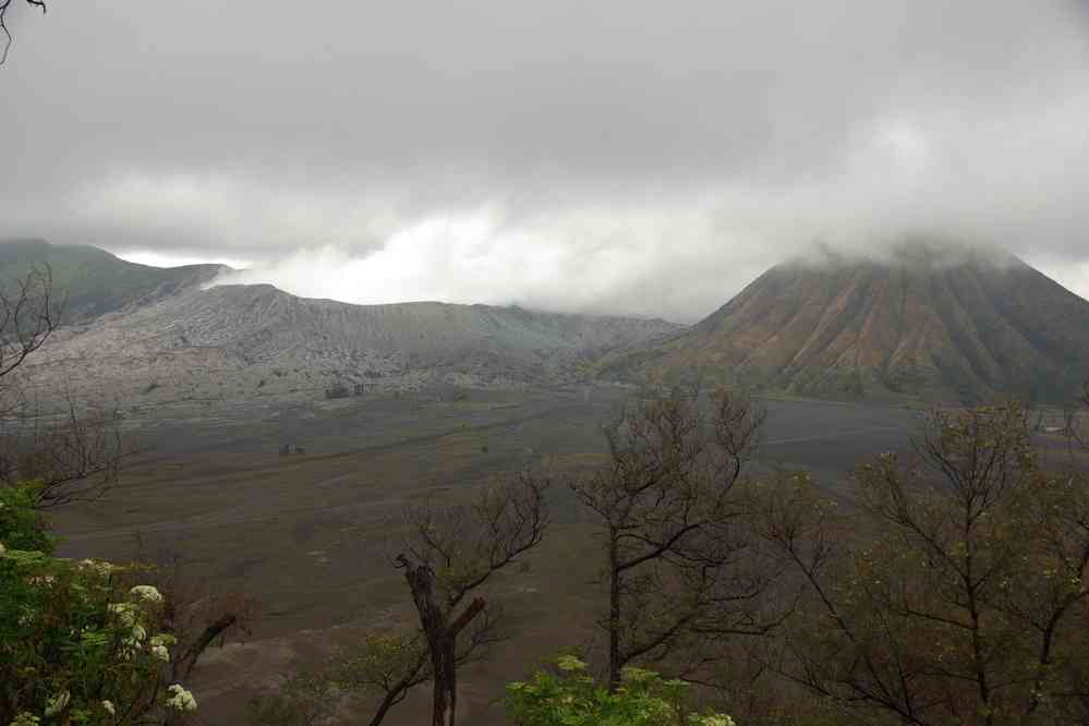 La caldeira du Tengger et le volcan Bromo vus depuis notre hôtel, le 18 juillet 2007