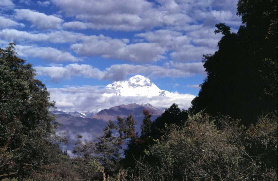 Le Dhaulagiri pendant la montée vers le col de Déorali, le 26 octobre 1998
