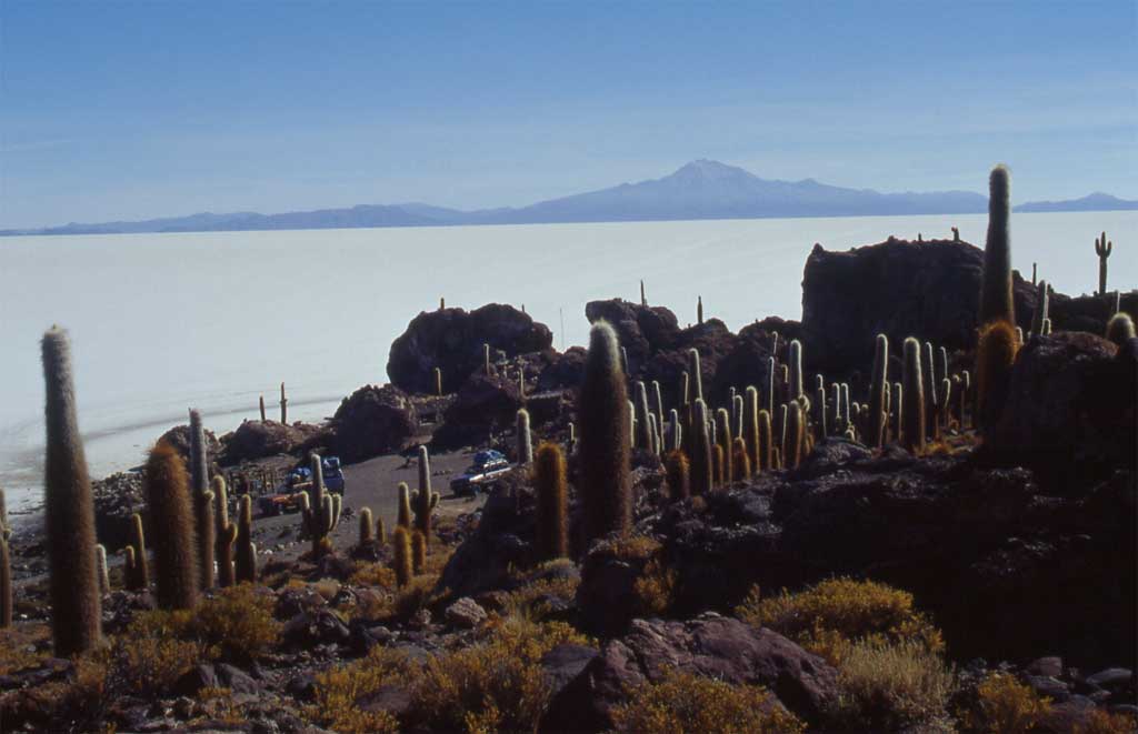 L’île d’Inca Huasi sur le salar d’Uyuni, le 19 août 2000
