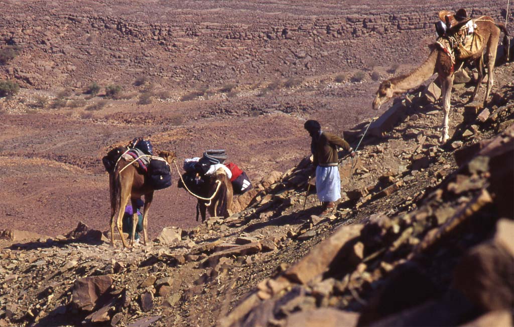Descente par les chameaux d’un col de l’Adrar, le 26 mars 2000