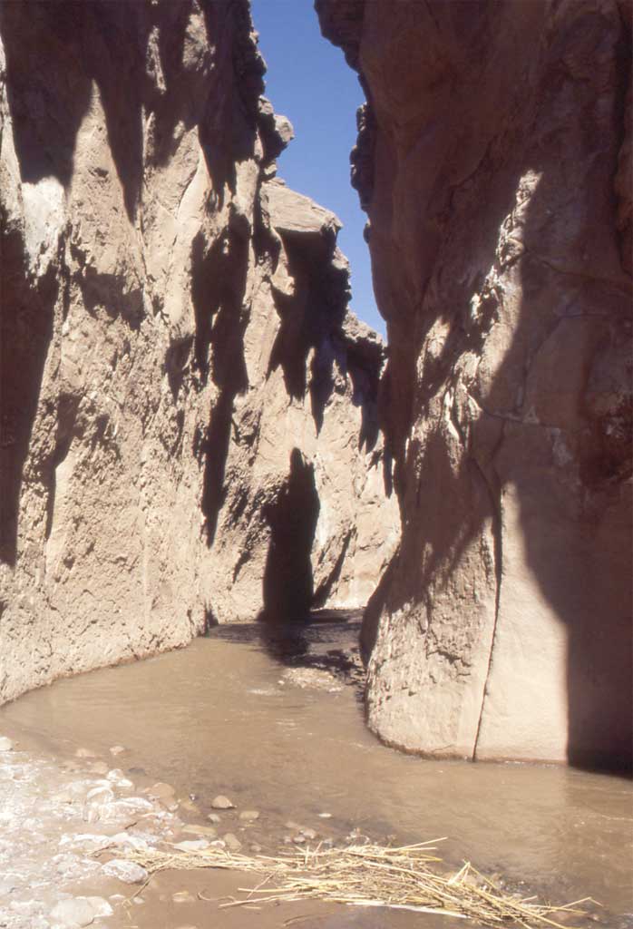 Marche dans un cañon du désert d’Atacama, le 9 août 2000