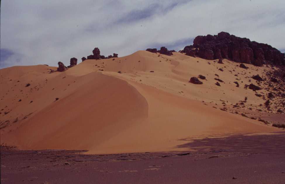 La grande dune du cordon de Zerga, le 24 mars 2000