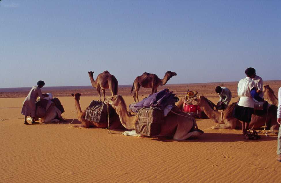 Camp en haut d’une dune isolée, le 15 mars 2000