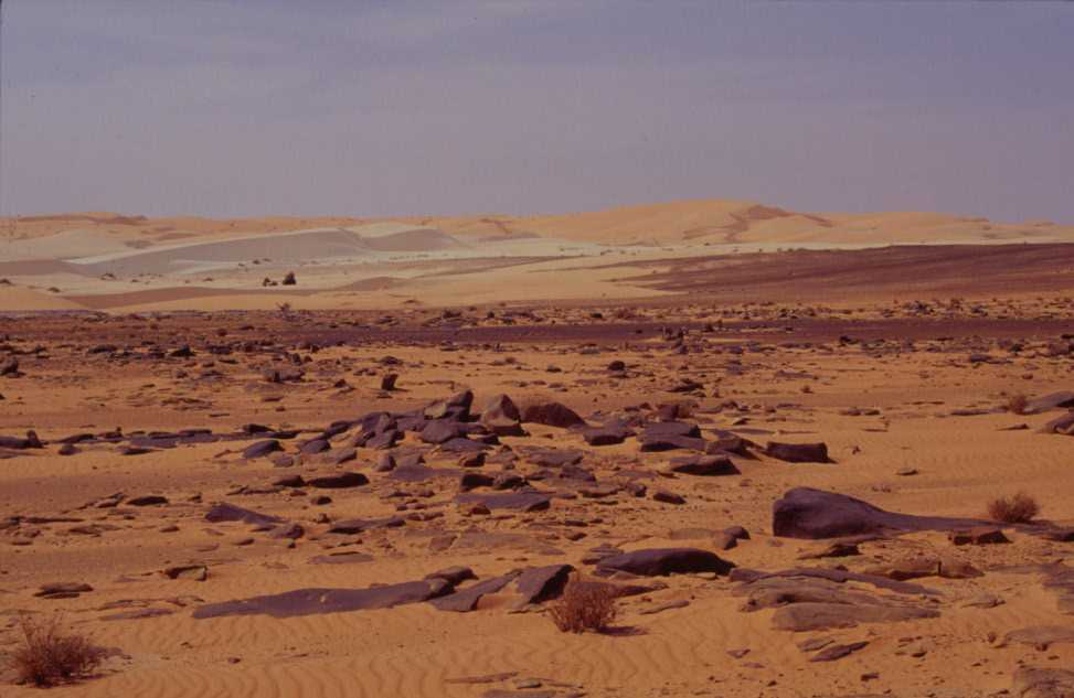 Dunes de couleurs variées dans les environs de Chinguetti (20 mars 2000)