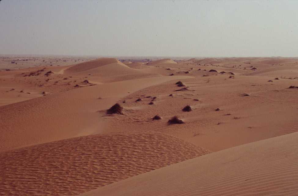 Cordons de barkhânes vives recouvrant d’anciennes dunes grésifiées, le 17 mars 2000