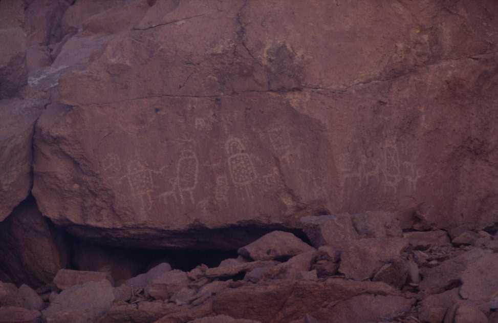Pétroglyphes dans la vallée de Rio Grande, le 8 août 2000