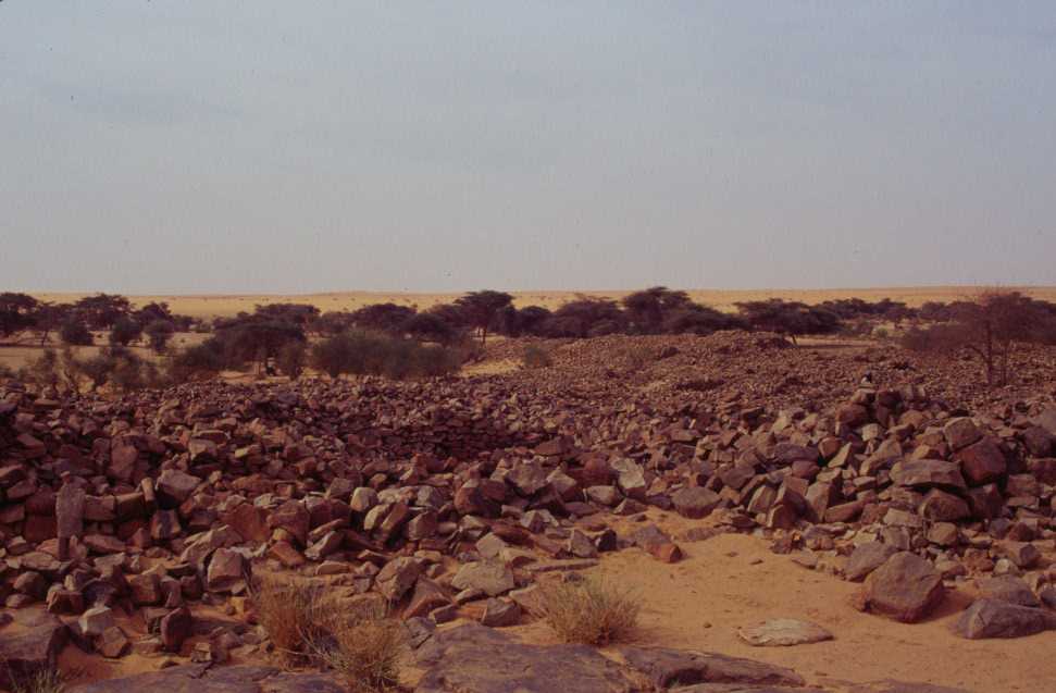 Ruines d’un village du Xe siècle près d’El Rhéouya, le 16 mars 2000