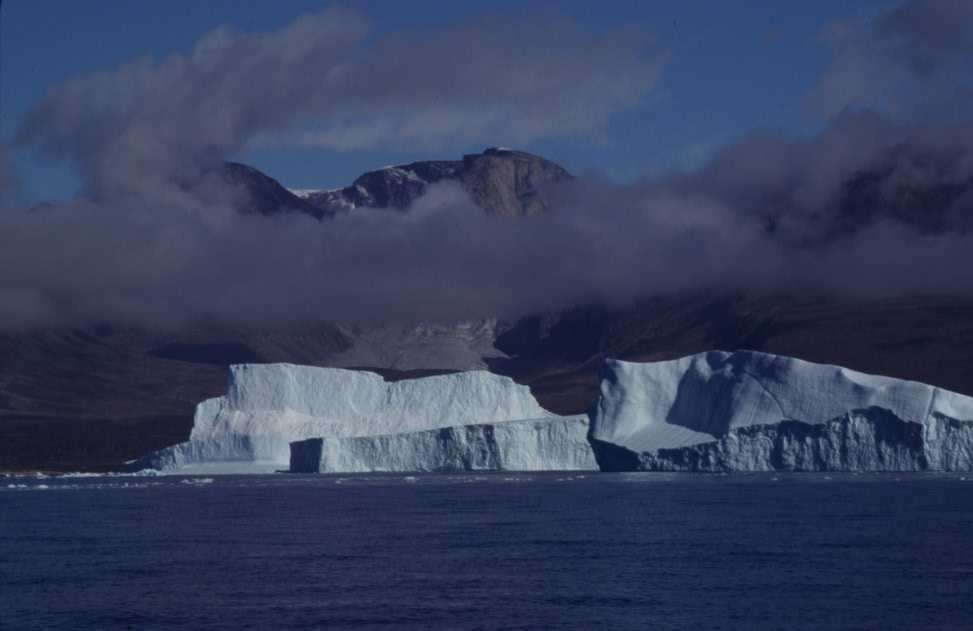 Icebergs près de Sarqaq, le 19 août 2002