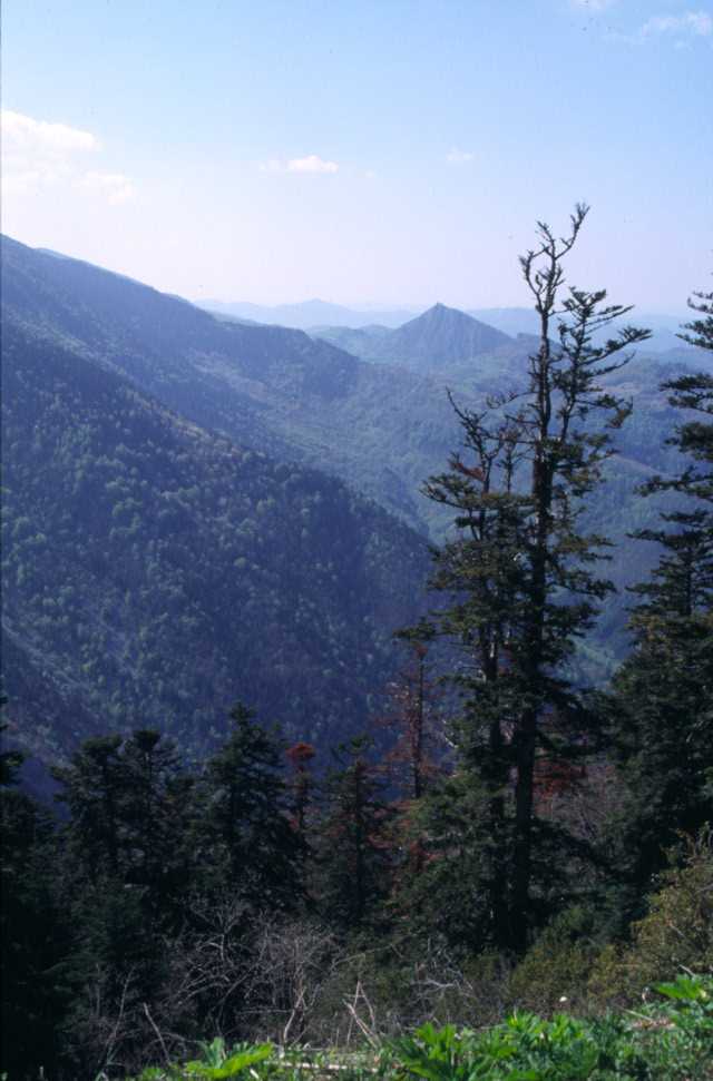 La vallée des gorges de la Frau et la citadelle de Montségur (au fond), le 16 mai 2004