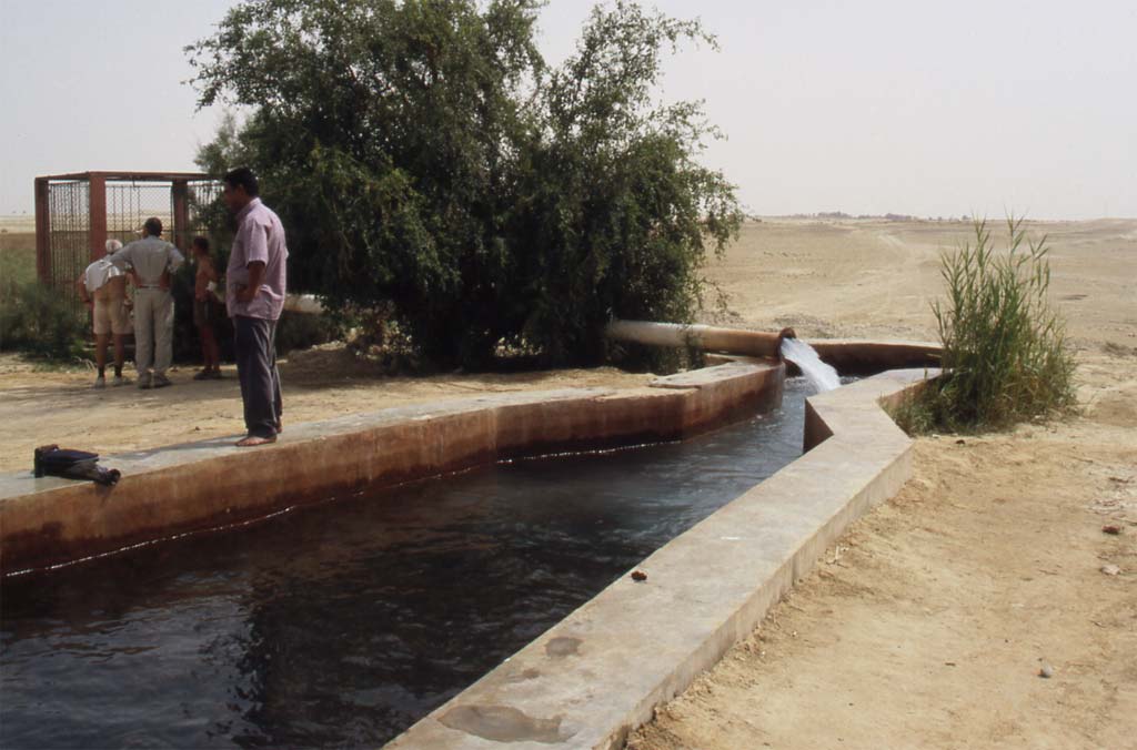 Source chaude à Farafra, le 18 avril 2005