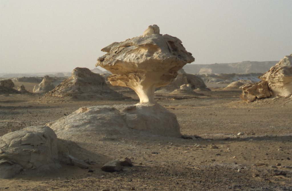 Un champignon dans le désert Blanc, le 17 avril 2005