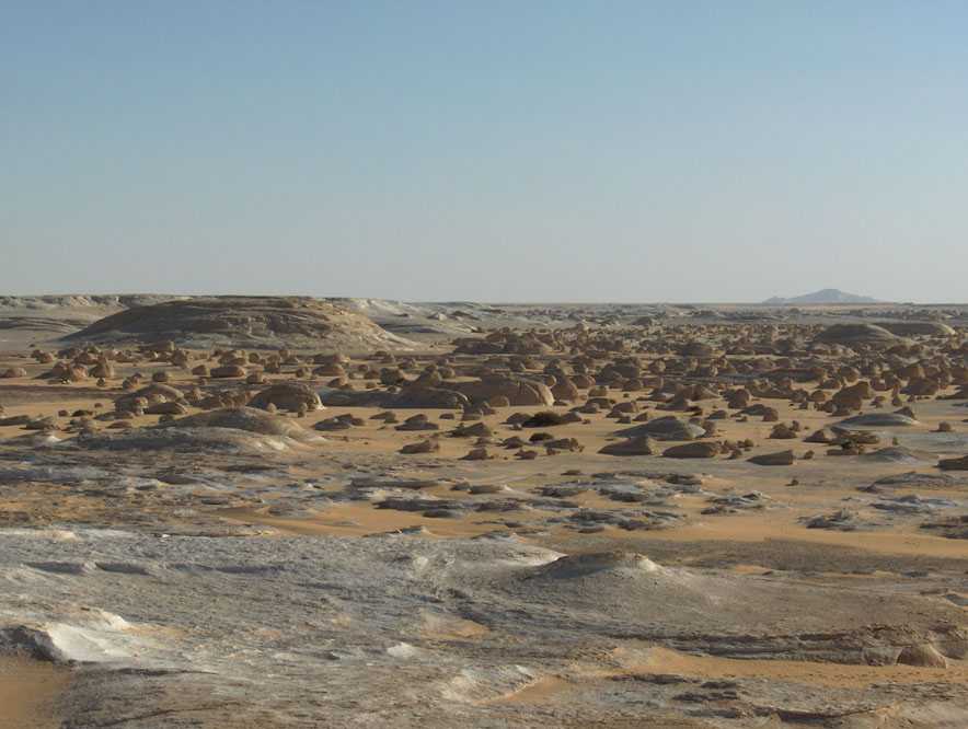 L’ancien désert Blanc au niveau du mimosa, le 15 avril 2006