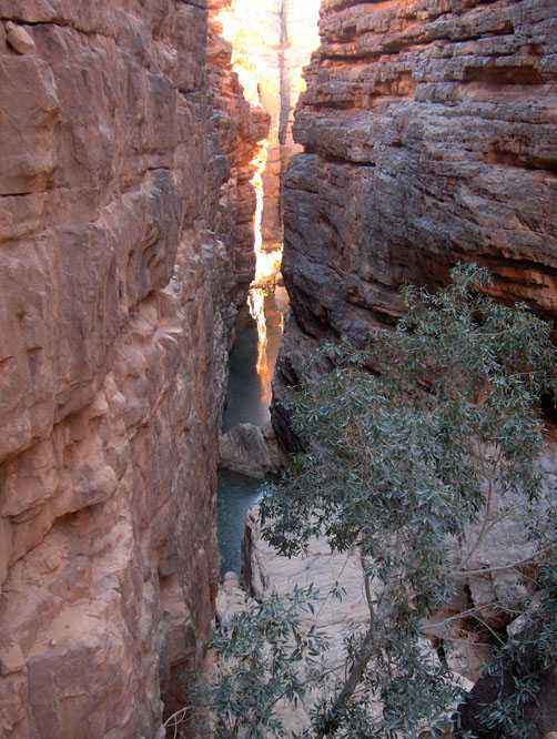 Guelta permanente au fond du cañon de Talahouat, le 10 mars 2006