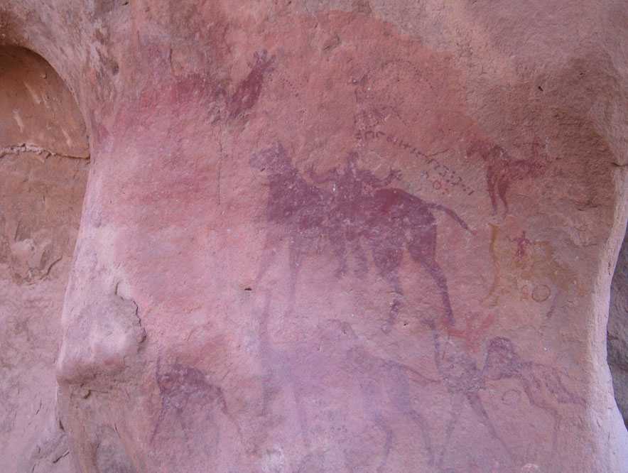 Peinture de chevaux près de Tin Mgharen, le 12 mars 2006