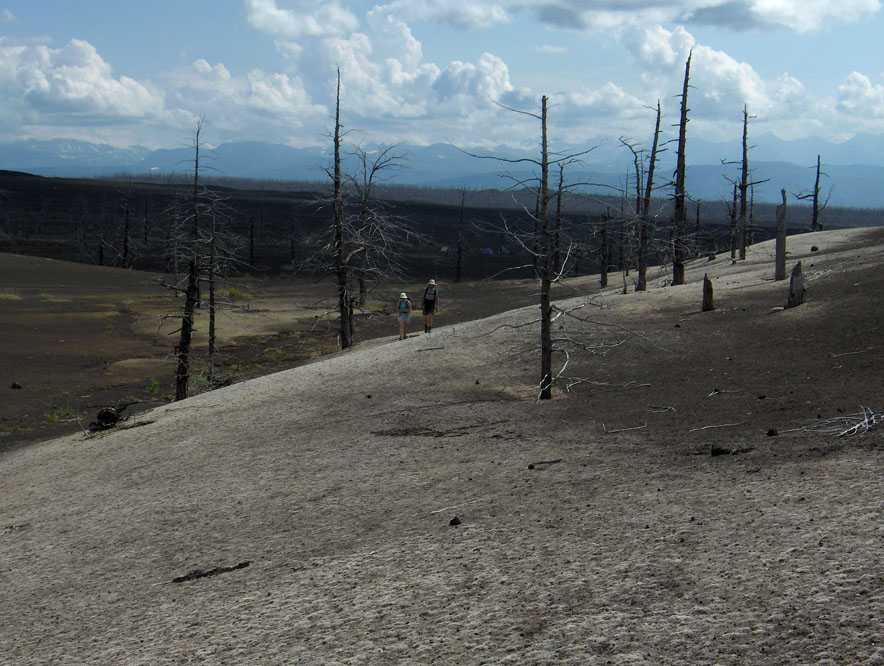 La forêt « brûlée » du Tolbatchik, le 15 août 2006