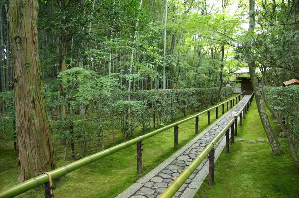 Allée de bambous conduisant au temple de Koto-in, complexe de Daïtoku-ji (Kyōto), le 15 septembre 2007