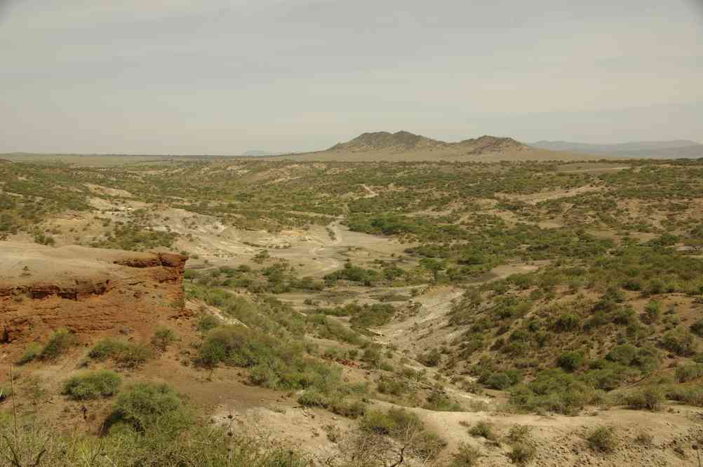 Vue générale de la gorge d’Olduvaï, le 18 février 2008