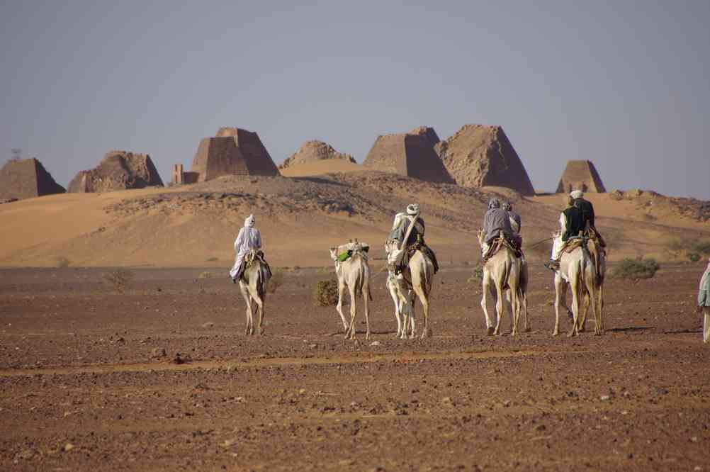 À dos de chameau en direction des pyramides de Méroé, le 30 décembre 2008