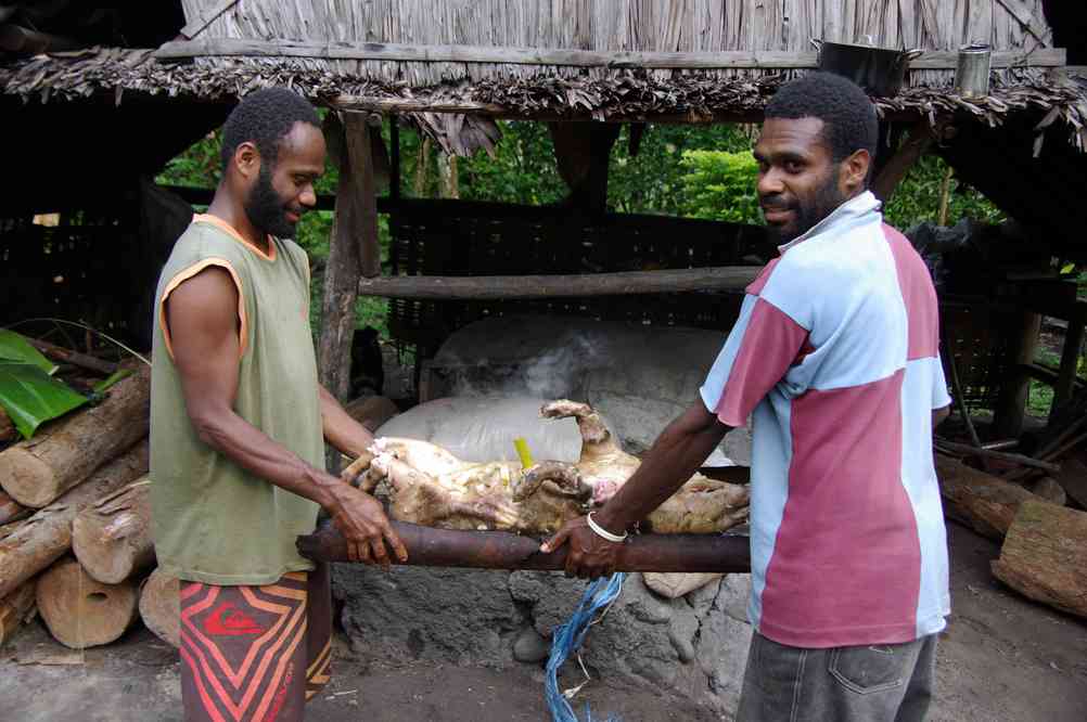 Préparation d’un cochon pour le dîner. Endu Pahakol, le 20 août 2011