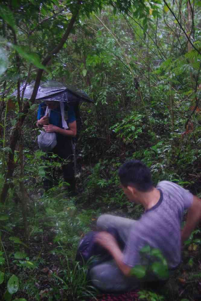 Randonnée dans la jungle près de Palenque. Cette photo m’a valu l’embuage de mon objectif, le 22 janvier 2016