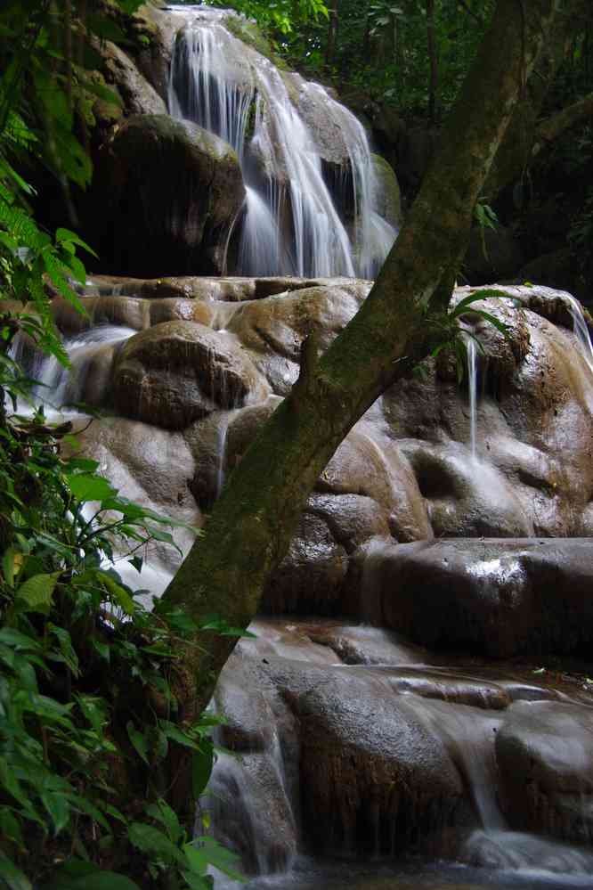 Randonnée dans la jungle en lisière du site de Palenque. Cascade, le 23 janvier 2016