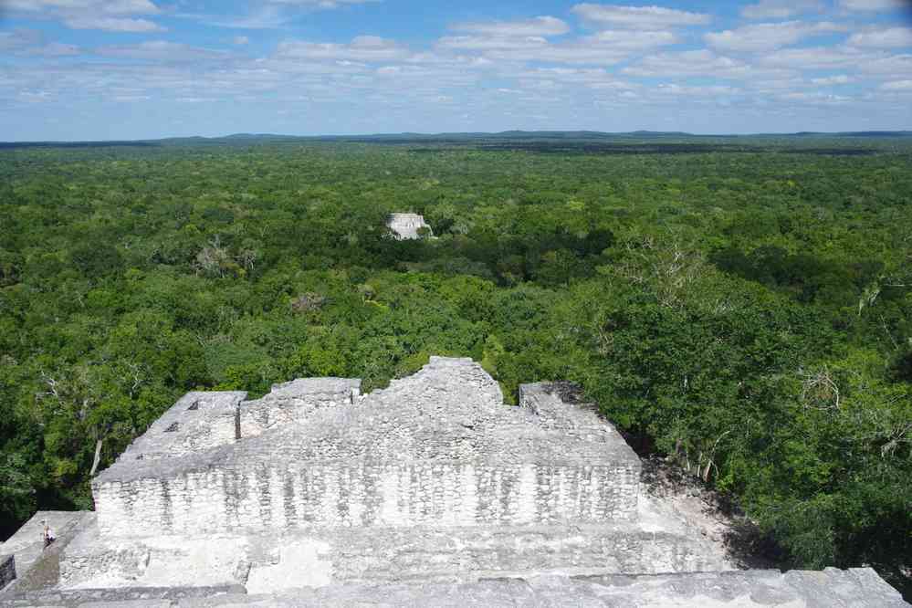 Calakmul (la forêt vue de la structure II), le 24 janvier 2016