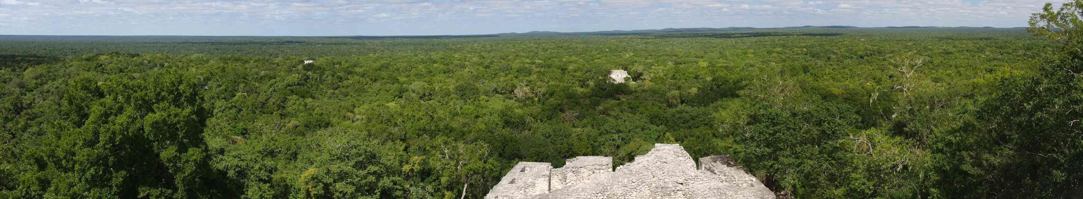 Calakmul (panoramique de la forêt depuis la grande pyramide), le 24 janvier 2016