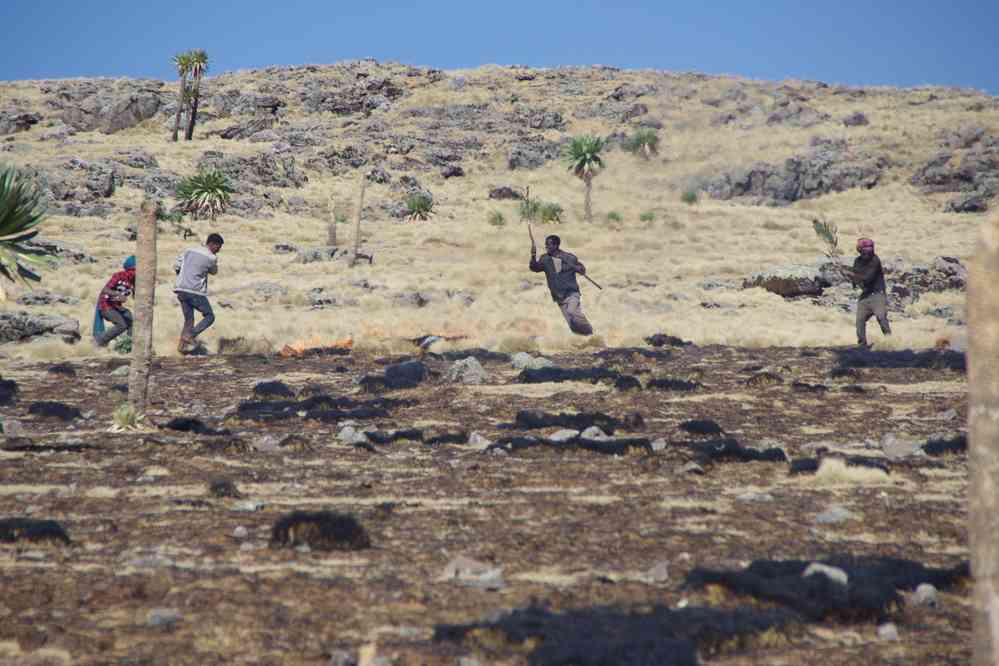 Les moyens rudimentaires des Éthiopiens pour éteindre les feux de prairie, le 18 janvier 2017