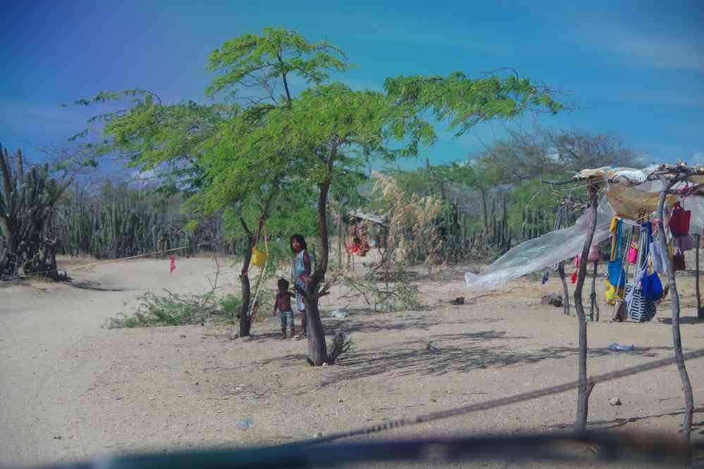Barrages d’enfants wayuu dans le désert de la Guajira, le 25 janvier 2018