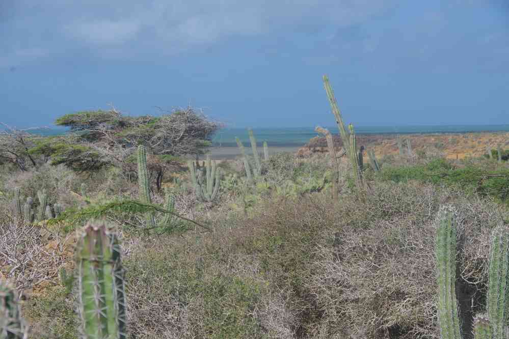 Paysage de la Guajira, le 26 janvier 2018