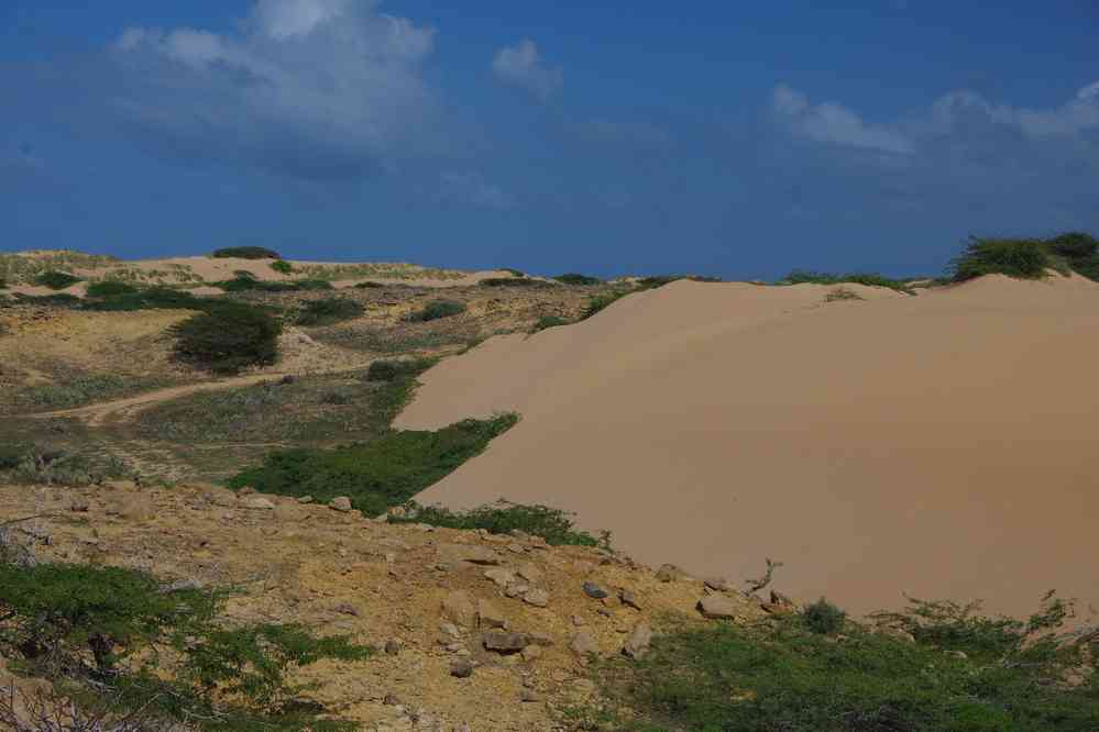 Randonnée vers les dunes de Taroa, le 27 janvier 2018