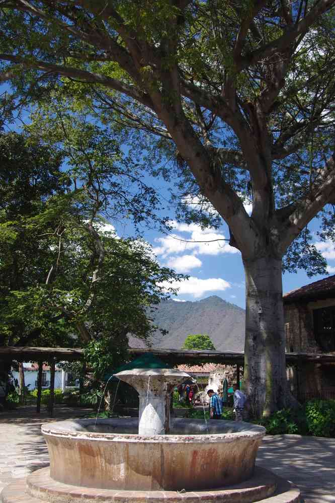 Antigua : Casa Santo Domingo (ancien couvent transformé en hôtel), le 10 février 2020