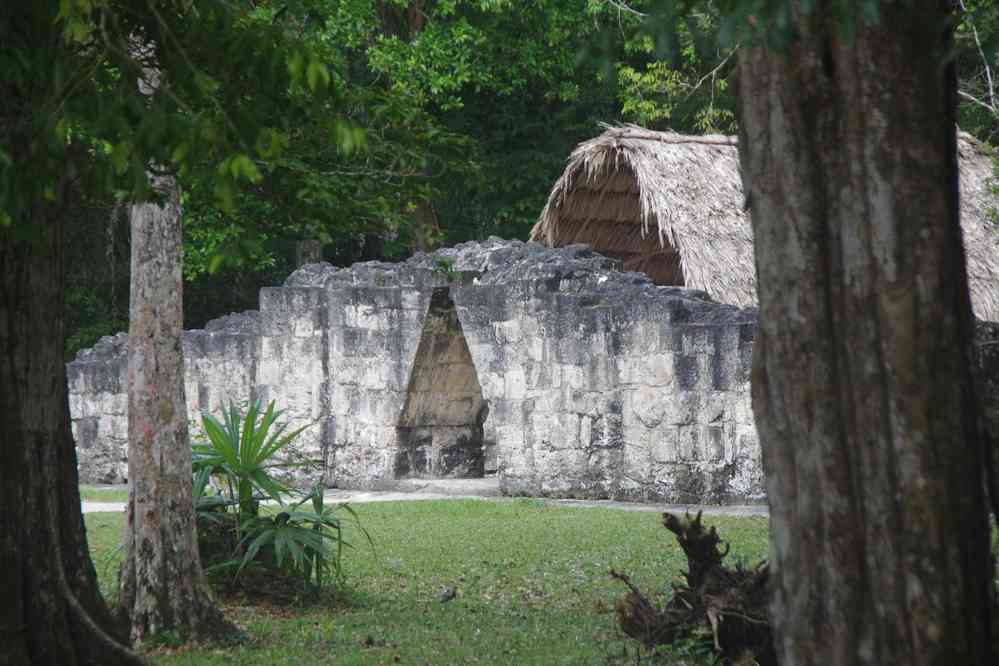 Tikal : groupe Q, le 21 février 2020