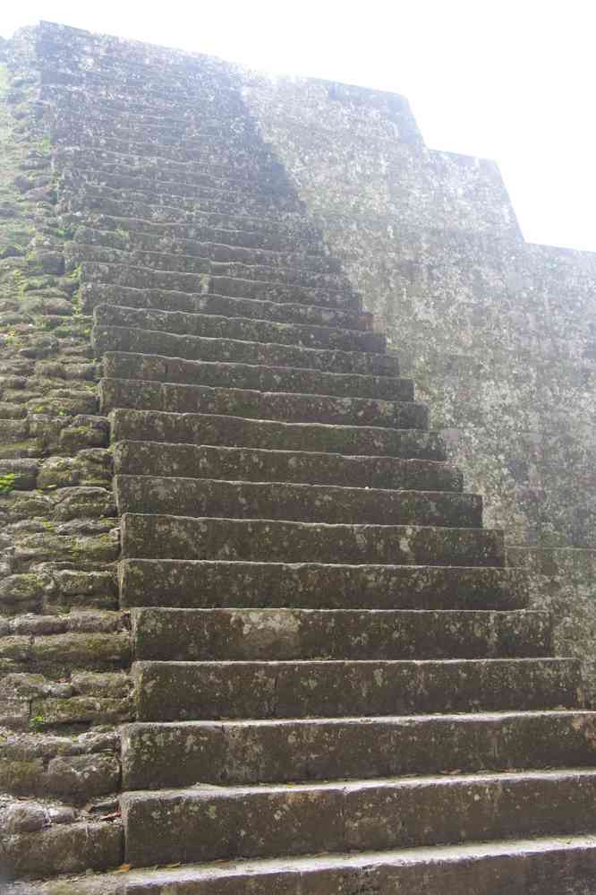 Tikal : pyramide du groupe Q, le 21 février 2020