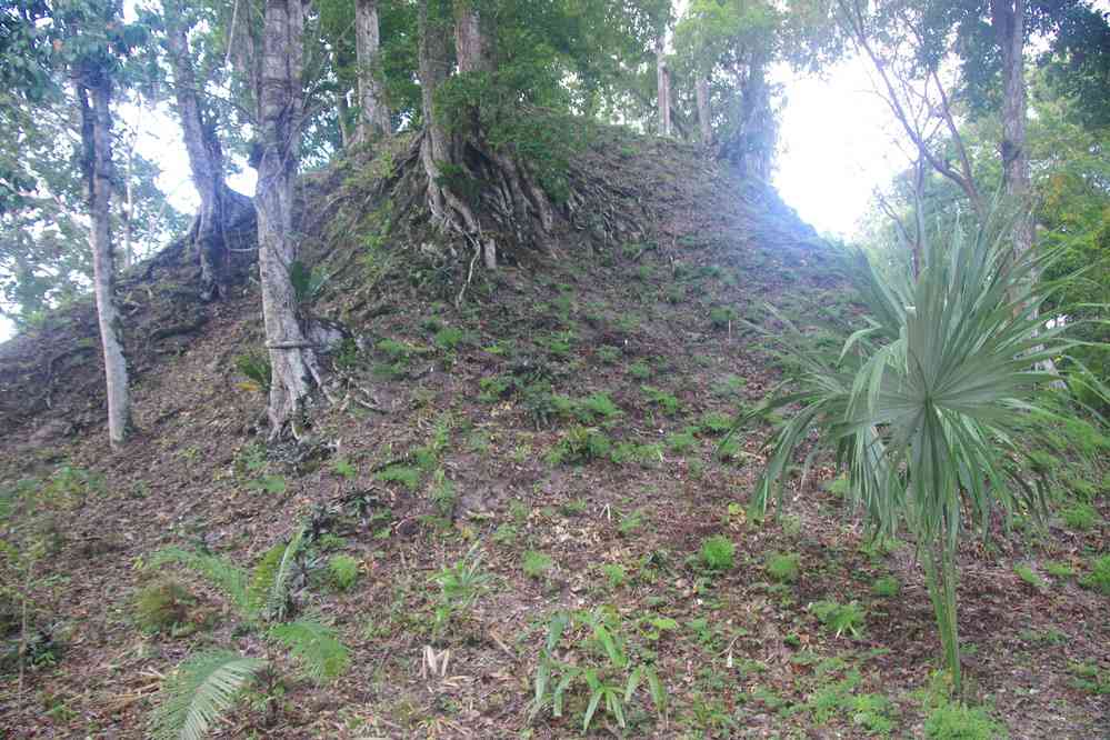 Tikal : pyramide non fouillée, le 21 février 2020
