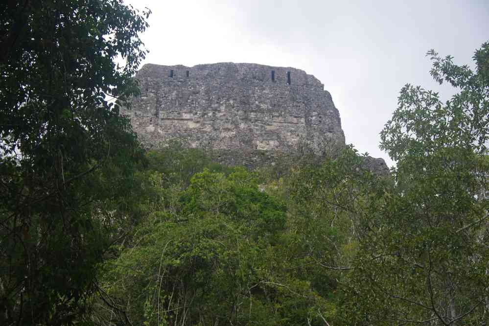 Tikal : le temple IV, le plus élevé de Tikal (65 m), le 21 février 2020